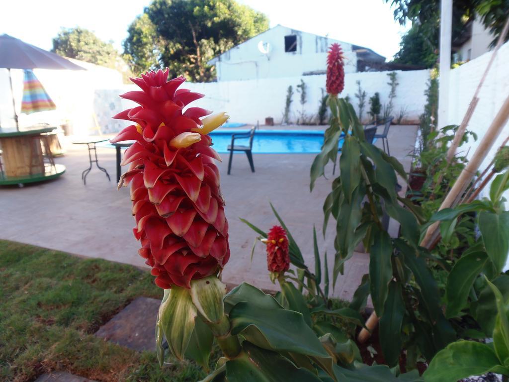 Meliza'S Garden Hotel Foz do Iguacu Exterior photo